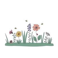 hand- getrokken onkruid, grassen, bloemen en insecten. vector illustratie van een tekening. eps10