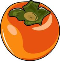 vector illustratie van kaki fruit