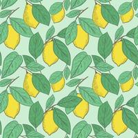 tropisch geel citroen naadloos patroon. hand- getrokken schetsen illustratie. vector