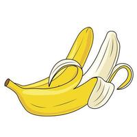 vector illustratie van banaan fruit