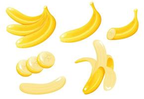 banaan verstand verschillend banaan plakjes set. tekenfilm stijl illustratie vector