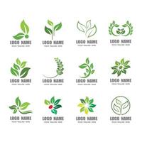 groen blad illustratie natuur logo ontwerp vector