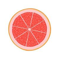 grapefruit plak illustratie voor web geïsoleerd Aan wit achtergrond vector