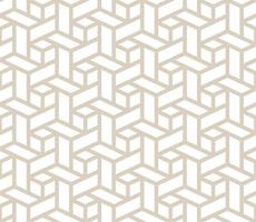 een naadloos patroon met lijnen dat kijken Leuk vinden pleinen vector