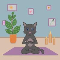 schattig grijs kat aan het doen yoga in de lotus positie, assana, in een knus kamer met bloemen, kaarsen en schilderijen vector