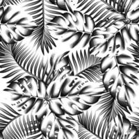 wijnoogst monstera palm bladeren naadloos patroon Aan wit achtergrond. tropisch planten gebladerte naadloos achtergrond in monochromatisch elegant kleur. exotisch behang. zomer ontwerp. surfen ontwerp. de lente. vector