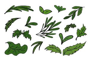 reeks groen bladeren. groen geïsoleerd vector illustratie. concept zomer, geneesmiddel, ecologie, Gezondheid.