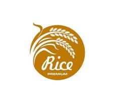 rijst- icoon, graan voedsel, biologisch natuurlijk landbouw vector