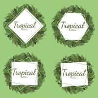 tropisch doorbladert achtergrond, groen illustratie vectorontwerp vector