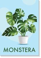 monstera fabriek in een pot vector