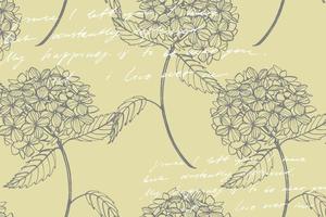 hortensia grafisch illustratie in wijnoogst stijl. bloemen tekening en schetsen met lijn kunst Aan wit achtergronden. botanisch fabriek illustratie. handgeschreven abstract tekst vector