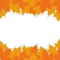 herfst achtergrond. esdoorn- bladeren kader. sjabloon voor herfst banier, poster, kaart of reclame vector