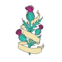 schotse distel met lint, kleurtekening vector