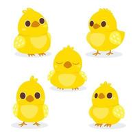 schattig baby kippen set. weinig geel tekenfilm kuikens. vector illustratie geïsoleerd Aan wit achtergrond.