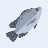 tilapia vector illustratie voor grafisch ontwerp en decoratief element