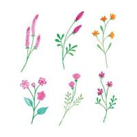 waterverf botanisch bloem, hand- getrokken waterverf vector illustratie voor groet kaart of uitnodiging ontwerp