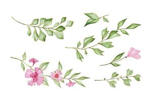botanisch bloem en bladeren verzameling, hand- getrokken waterverf vector illustratie voor groet kaart of uitnodiging ontwerp