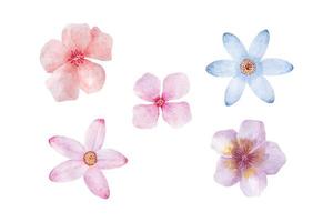 lief tropisch bloem verzameling, hand- getrokken waterverf vector illustratie voor groet kaart of uitnodiging ontwerp