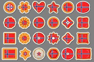 eigengemaakt koekje met vlag land Noorwegen in smakelijk biscuit vector