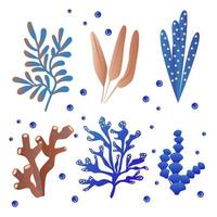 tekenfilm oceaan planten. anemonen, koralen en zeewier, marinier kelp, aquarium planten. onderwater- rif flora vector illustratie pictogrammen reeks