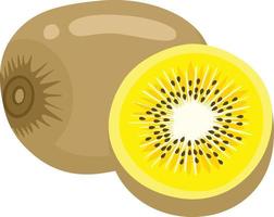 geel kiwi fruit geïsoleerd Aan wit vector