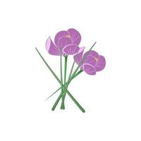 krokus bloemen kleur vector icoon