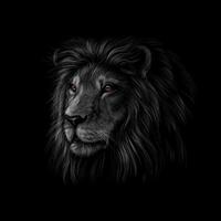 portret van een leeuwenkop op een zwarte achtergrond. vector illustratie