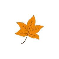 herfst geel kleur blad vector icoon