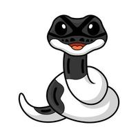 schattig panda bont bal Python tekenfilm vector