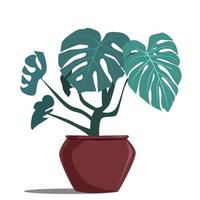 monstera-een kamerplant in pot vector