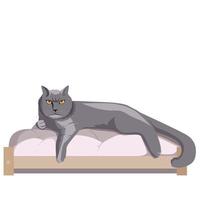Britse kat liggend in een comfortabel bed vector
