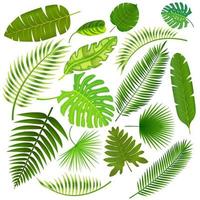 tropisch bladeren verzameling vector illustratie