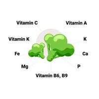 vector broccoli met haar vitamines en mineralen, inclusief vitamine c, a, k, b6, b9, foliumzuur, magnesium, potassium, fosfor, calcium, ijzer. leerzaam Gezondheid voordelen illustratie.