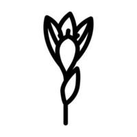 krokus bloem voorjaar lijn icoon vector illustratie