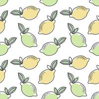 naadloos patroon, contour citroenen en limoenen met gekleurde vlekken Aan een wit achtergrond. pastel kleuren. minimaal modern ontwerp. fruit achtergrond, vector