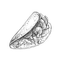 hand getekend schetsen van taco Aan wit achtergrond. snel voedsel wijnoogst illustratie. element voor de ontwerp van etiketten, verpakking en ansichtkaarten vector