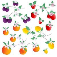 set van fruit appels perziken citroenen pruimen. vectorillustratie voor ansichtkaarten, afdrukken op stof of tafelgerei, voor patronen. vector