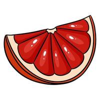 plakje sappige grapefruit. een gesneden stuk grapefruit. vector