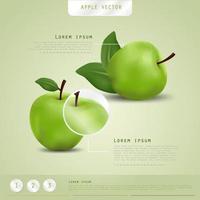 realistische appel. fruit en verse appel vector. vector