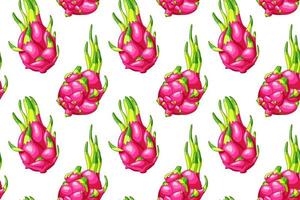 naadloos patroon met draak vruchten. zoet pitaya achtergrond. biologisch kleurrijk pitahaya. tropisch voedsel kleding stof vector