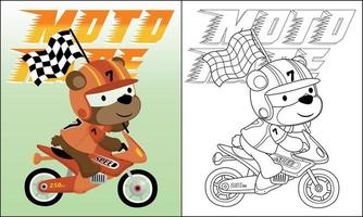 vector tekenfilm van beer in renner kostuum Aan racing fiets draag- af hebben vlag, kleur boek of bladzijde