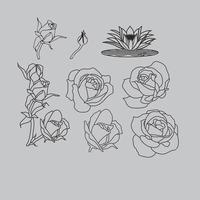 verschillend types van roos lijn kunst vector