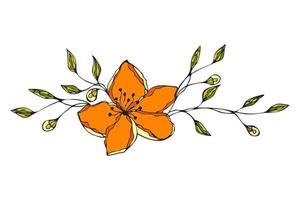 bloem tekening hand- getrokken, bloemen ornament oranje en groen kleur. vector