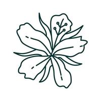 bloem blad illustratie ontwerpsjabloon vector