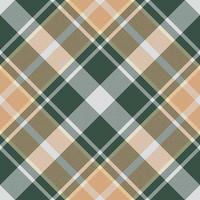 plaid patroon vector. controleren kleding stof textuur. naadloos textiel ontwerp voor kleren, papier afdrukken. vector