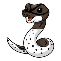 schattig oreo bont bal Python tekenfilm vector