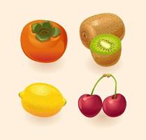 fruit geïsoleerd op een lichte achtergrond. persimmon, kiwi, citroen, kers. fruit ingesteld. vector illustratie