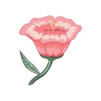 ontwerp van roze tulp. decoratie bloemen vector