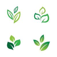 groen blad logo natuur ecologie vector