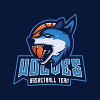 modern professioneel basketbal team logo vector